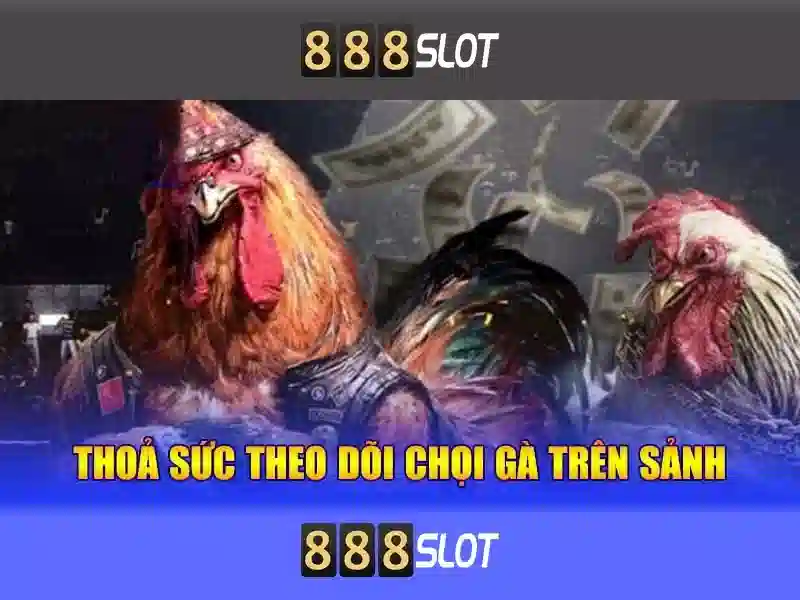 Hướng dẫn tham gia và lưu ý Hướng dẫn tham gia và lưu ý