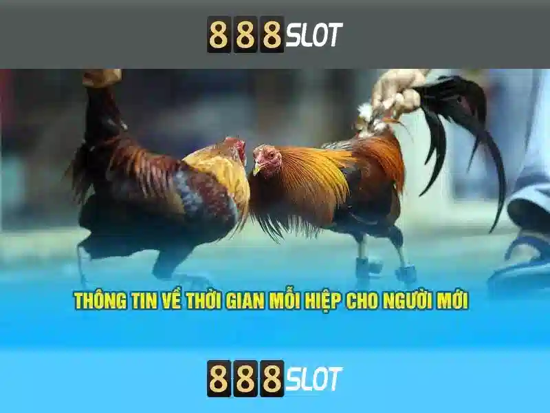 Ưu thế và năng lực cạnh tranh của slot 888 king