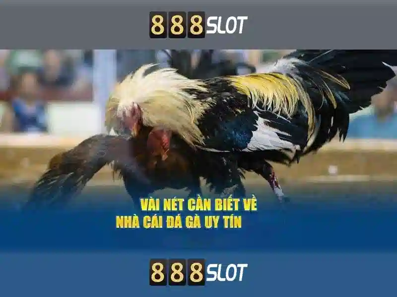 Khuyến mãi và an toàn