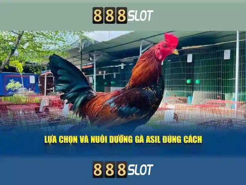888slot: Đánh giá tổng quan và trải nghiệm chơi slot trực tuyến