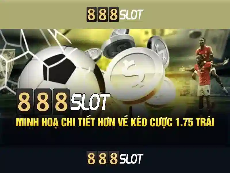 Trải nghiệm người dùng và phản hồi cộng đồng