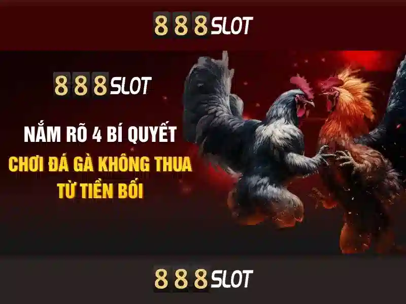 An toàn và thanh toán