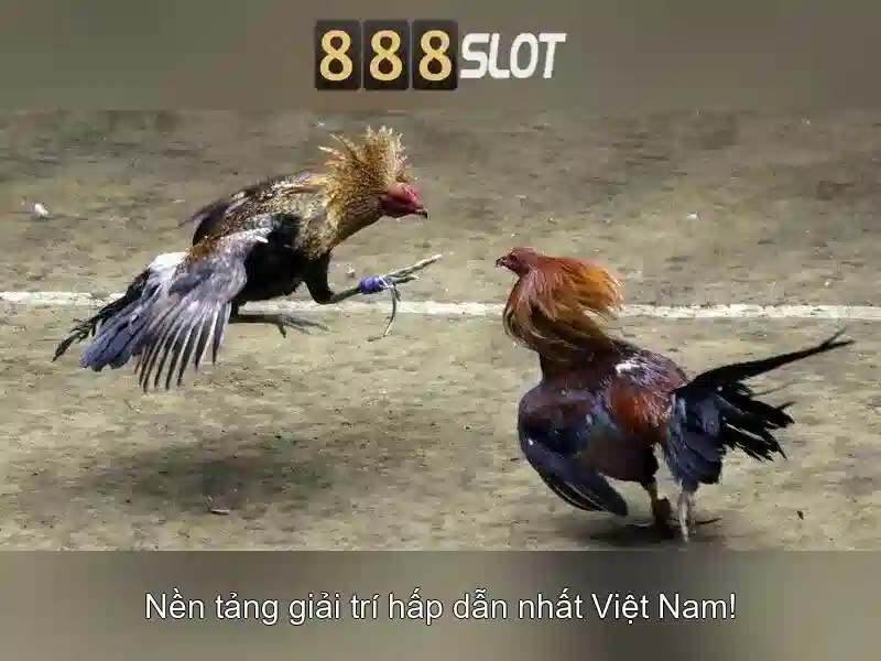 wow 888 slot – Trải nghiệm đỉnh cao và tiện ích