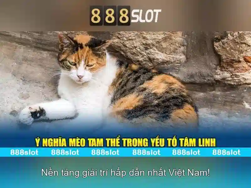 Gioi thieu tong quan ve nha cai 888slot uy tin hang dau