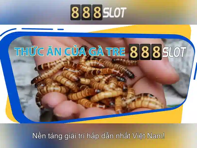 Tầm nhìn và phát triển tương lai