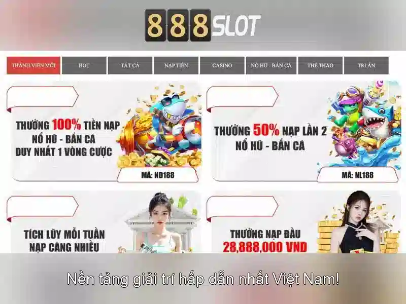Khuyến mãi và chương trình thưởng
